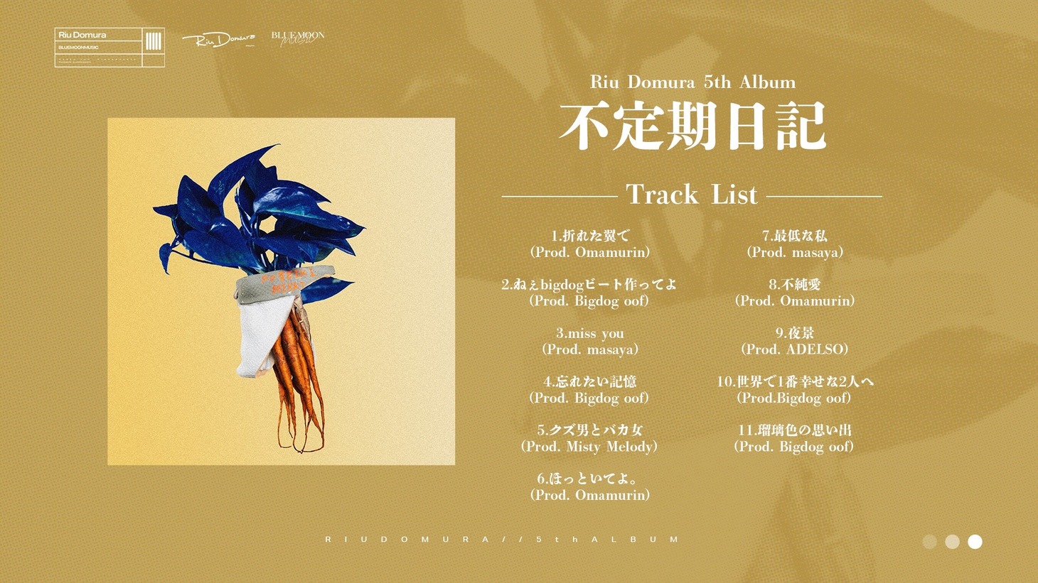 堂村璃羽「不定期日記」告知画像