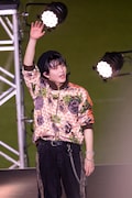 ハル(撮影:米山三郎)