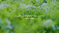 GOOD BYE APRIL「ニュアンスで伝えて feat. ヒグチアイ」ティザーより。