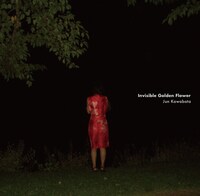 Jun Kawabata「Invisible Golden Flower」ジャケット