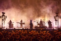 女王蜂（撮影：中野修也）