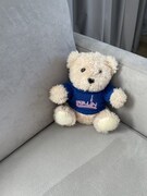 ベルリンで購入したテディベア。