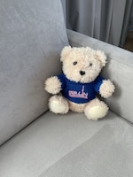 ベルリンで購入したテディベア。