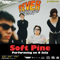 Soft Pine