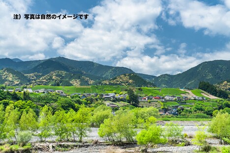 “静岡の自然”のイメージ写真