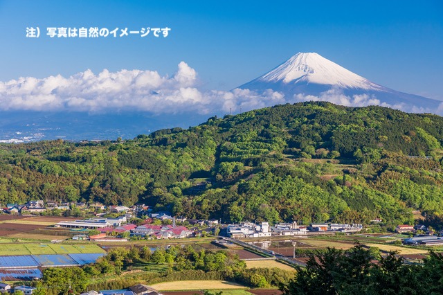 “静岡の自然”のイメージ写真