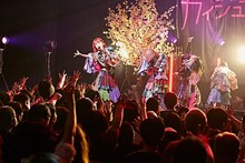 「カイジューバイミーONEMAN『怪獣爛漫』」の様子。（撮影：粂井健太）