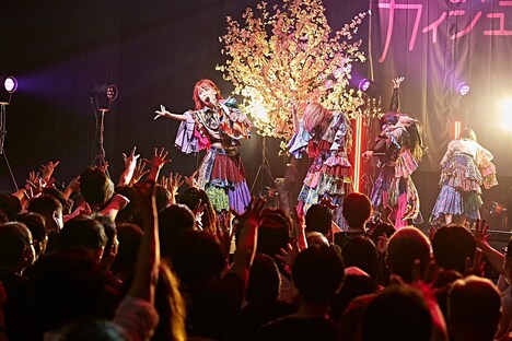 「カイジューバイミーONEMAN『怪獣爛漫』」の様子。（撮影：粂井健太）