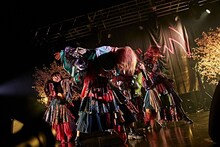 「カイジューバイミーONEMAN『怪獣爛漫』」の様子。（撮影：粂井健太）