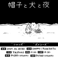 Pome Shih Tzu「帽子と犬と夜」告知ビジュアル