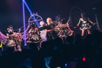 「キングサリ 2nd Anniversary LIVE『Walpurgis』」の様子。（撮影：真島洸）
