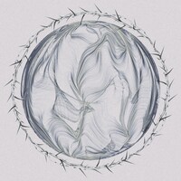 polly「Lily」配信ジャケット