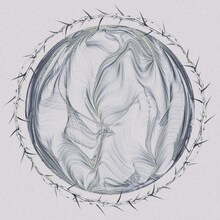 polly「Lily」配信ジャケット