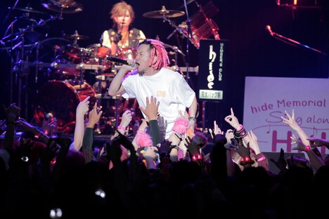 w-shun（KNOCK OUT MONKEY）