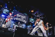 本日5月5日に長崎・シーハットおおむら メインアリーナで開催されたgo!go!vanillasのライブの様子。(撮影:渡邉一生)