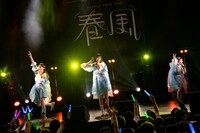 「RYUTist TOUR 2024“春風”」ファイナル公演の様子。