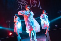 「RYUTist TOUR 2024“春風”」ファイナル公演の様子。