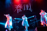 「RYUTist TOUR 2024“春風”」ファイナル公演の様子。