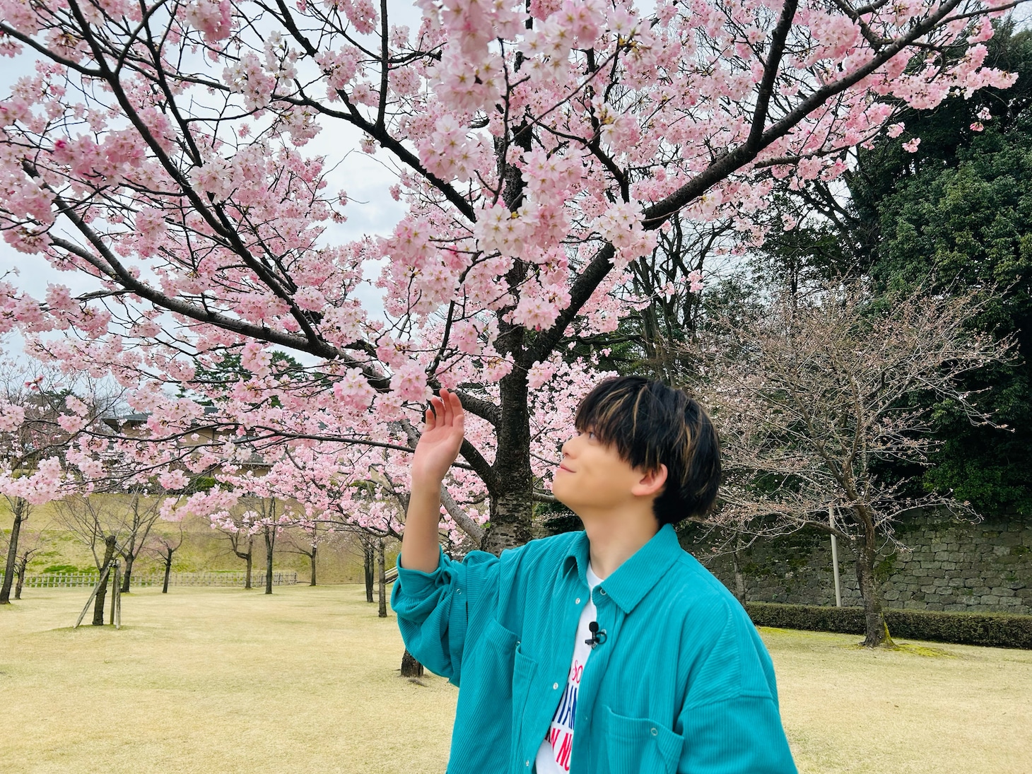 松丸亮吾 (c)日本テレビ