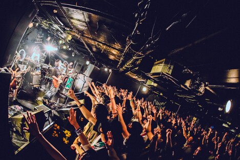 ネクライトーキー（撮影：かい）