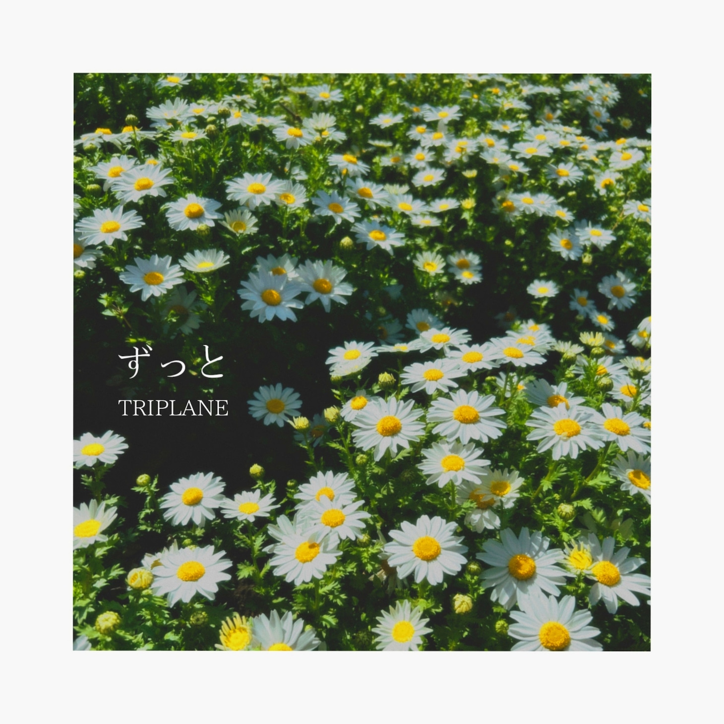 TRIPLANE「ずっと」配信ジャケット