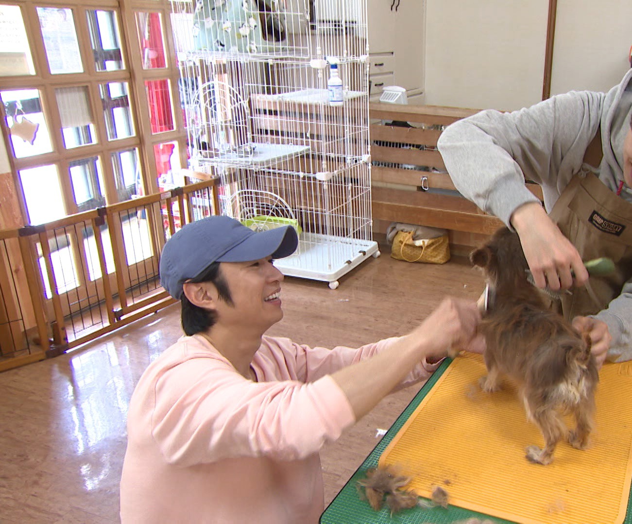 保護犬をトリミングする相葉雅紀（嵐）。(c)日本テレビ