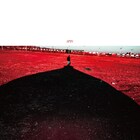 菅田将暉「SPIN」ジャケット公開、内モンゴル自治区出身Ryu Ikaの作品を使用