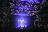 藤原さくら「Sakura Fujiwara Tour 2024 wood mood」ファイナル公演の様子。（撮影：上飯坂一）