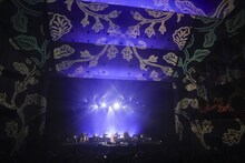 藤原さくら「Sakura Fujiwara Tour 2024 wood mood」ファイナル公演の様子。（撮影：上飯坂一）