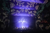 藤原さくら「Sakura Fujiwara Tour 2024 wood mood」最終公演の様子。（撮影：上飯坂一）