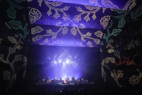 藤原さくら「Sakura Fujiwara Tour 2024 wood mood」最終公演の様子。（撮影：上飯坂一）