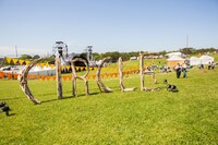 「CIRCLE」会場の様子。