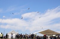 「CIRCLE」会場の様子。