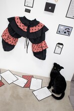 GIRLS FIGHT CLUB「Muse exhibition」内覧会の様子。（Photo by mori yuki）