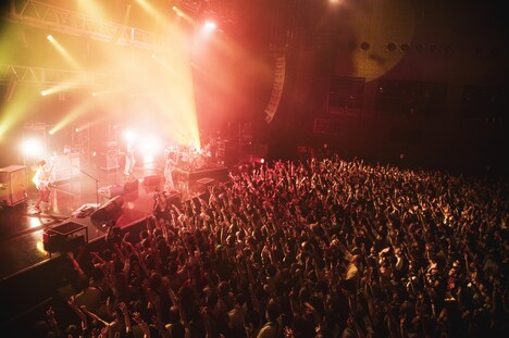 「SCANDAL TOUR 2024 "LUMINOUS"」2024年5月25日 Zepp Haneda（TOKYO）公演の様子。（Photo by Yukihide [JON...] Takimoto）