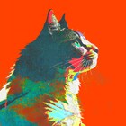 米津玄師「毎日」のジャケットは猫