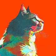 米津玄師「毎日」ジャケット