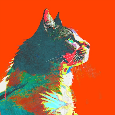 米津玄師「毎日」配信ジャケット