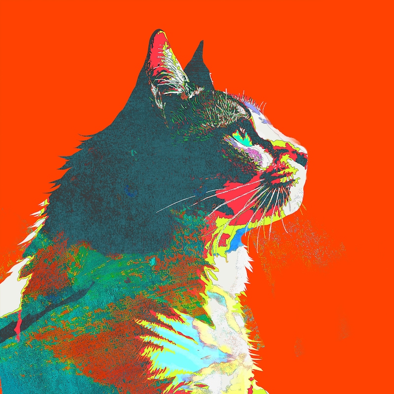 米津玄師「毎日」配信ジャケット