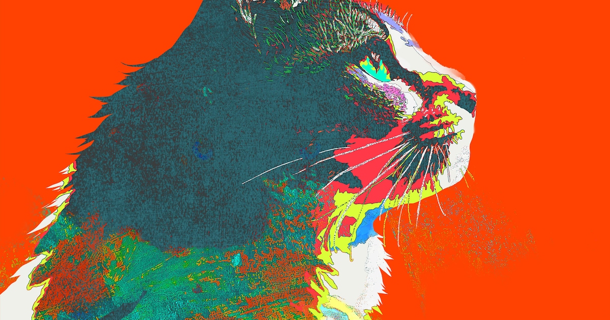 米津玄師「毎日」のジャケットは猫 - 音楽ナタリー