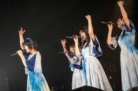 「タイトル未定 ワンマンライブ 東京 『 TETRAPOD 』」の様子。