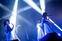 「タイトル未定 ワンマンライブ 東京 『 TETRAPOD 』」の様子。