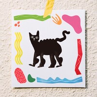 黒猫CHELSEA「きらーず」ジャケット