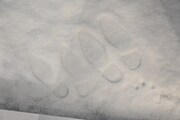 雪に残された“二人が歩いた足跡”。