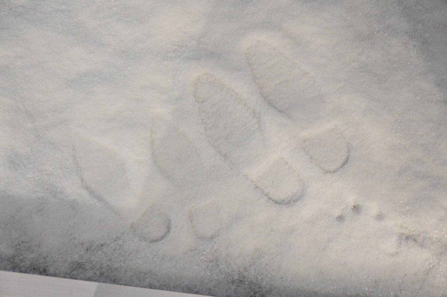 雪に残された“二人が歩いた足跡”。