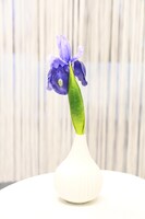 白いレースに覆われ「あなたといきてゆく」コーナーのアイリス。