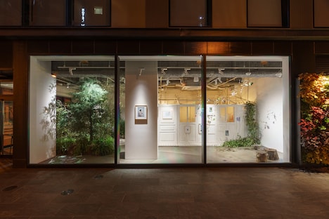 「“ひみつの庭” inspired by 羊文学 - 12 hugs (like butterflies)」外観