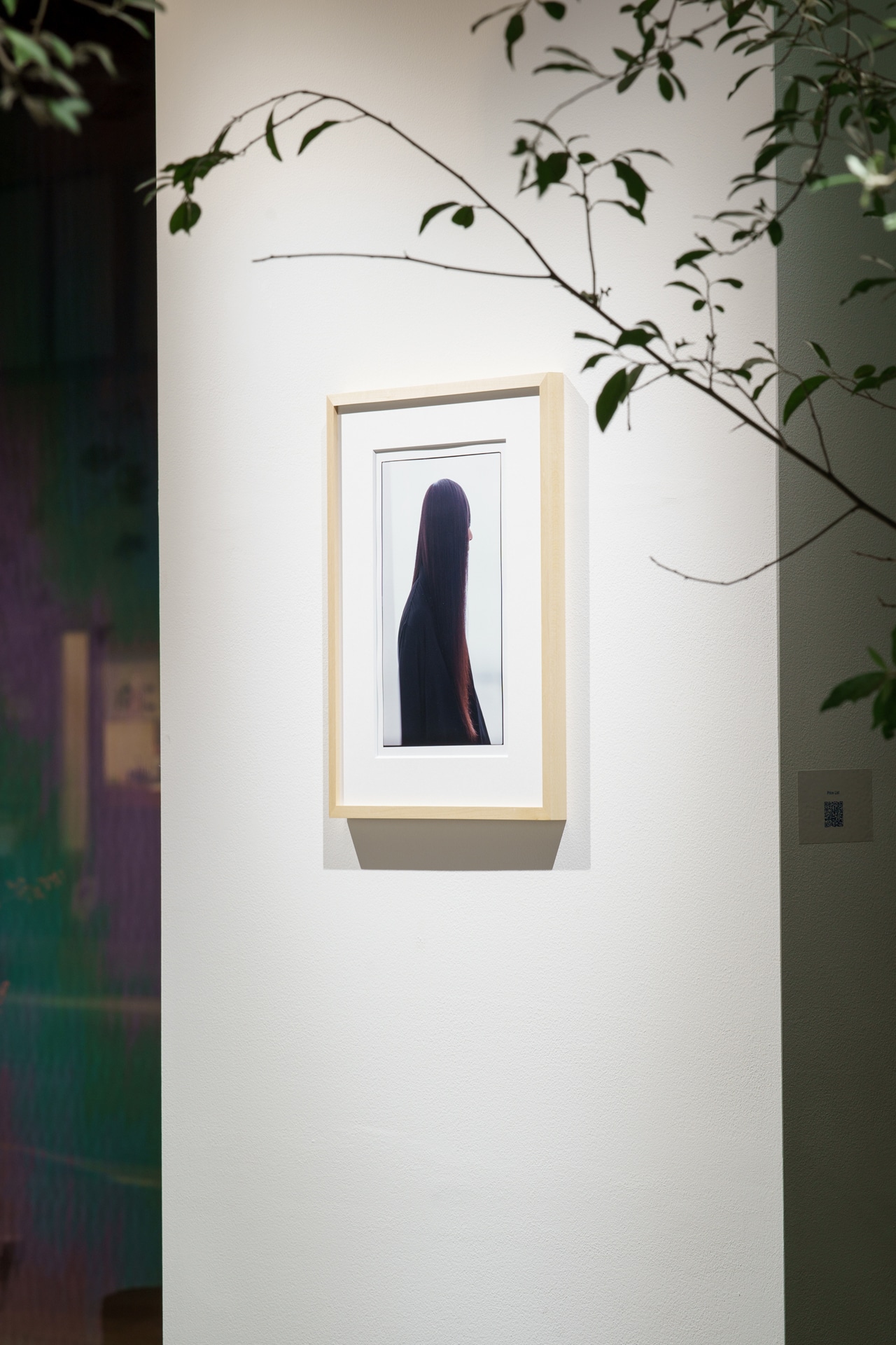 展示されたフクダヒロア（Dr）の写真。