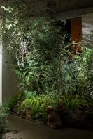 場内を彩る植栽。よく見ると「人魚」から連想された”人魚の涙に濡れた蜘蛛”のオブジェも。