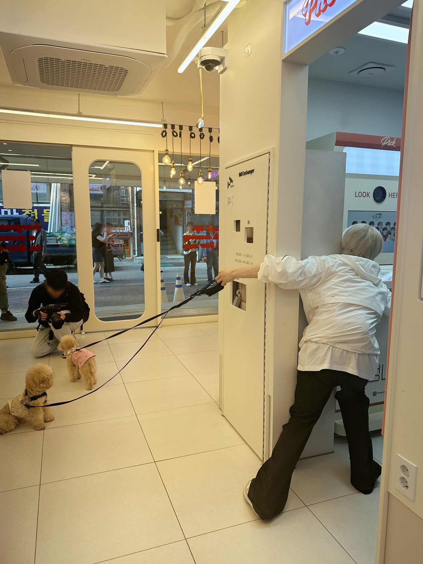 2匹にリードを引っ張られながら“人生4カット写真”を確認するシャオジュン。（WayV X @WayV_officialより）